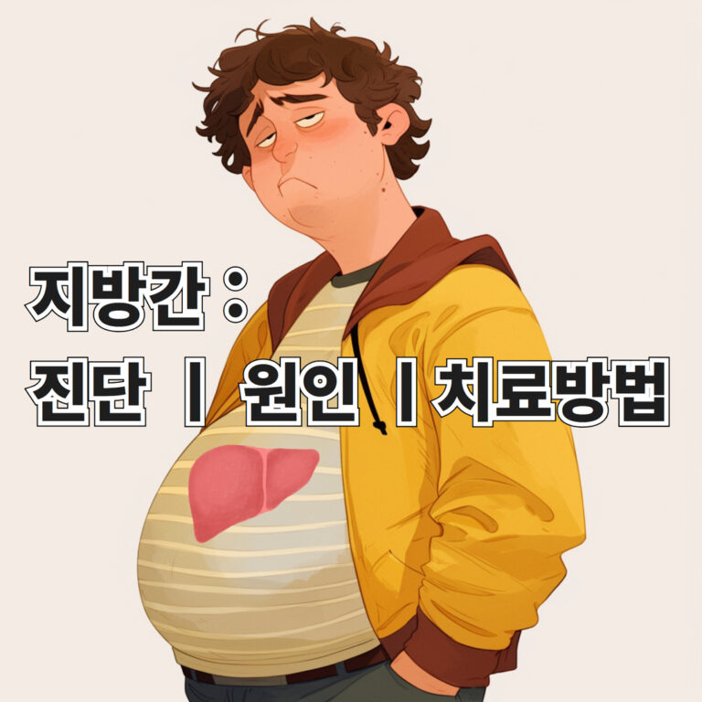 지방간 진단과 원인 치료방법을 설명하기 위한 글의 대표 이미지