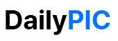 데일리픽